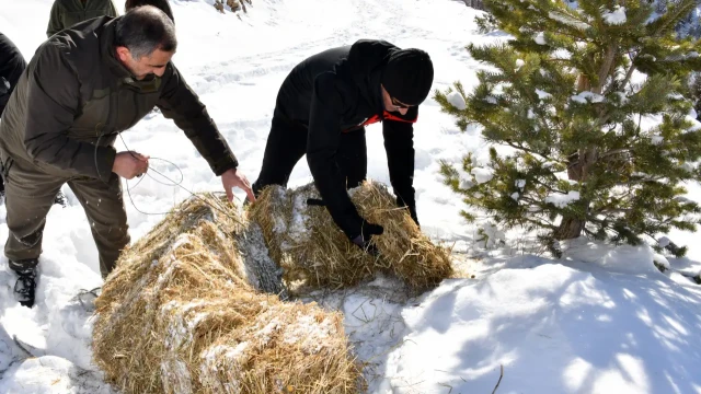 Gümüşhane’de aç kalan yaban hayvanları için seferberlik