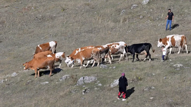Gümüşhane'de genç muhtarın Türkiye'ye ilham veren başarı hikayesi