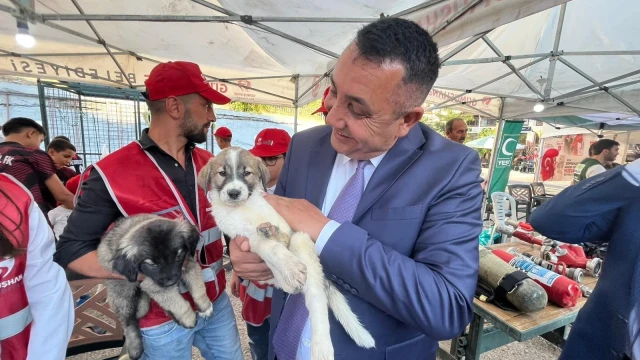 Gümüşhane’de Hayvanlara Sevgiyle Dokunan Etkinlik
