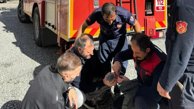 Gümüşhane’de İtfaiyeden Güvercin Kurtarma Operasyonu
