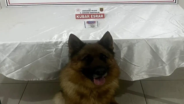 Gümüşhane'de Jandarmadan Uyuşturucu Operasyonu: Torul'da Bir Şüpheli Yakalandı