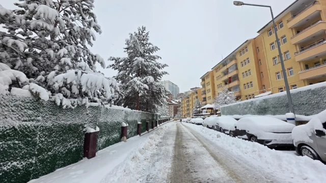 Gümüşhane’de Karla Mücadele Alarmı: Ekipler 24 Saat Sahada