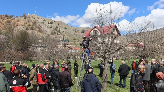 Gümüşhane’de meyve üreticilerine profesyonel budama eğitimi verildi