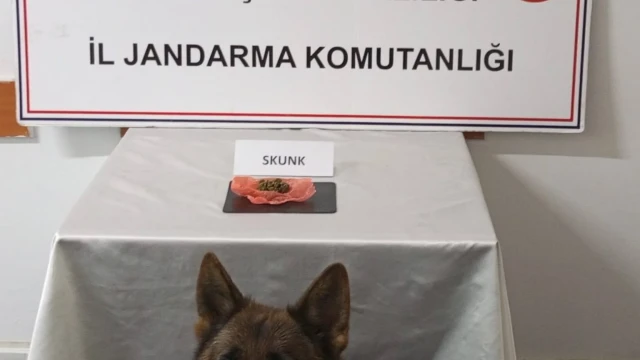 Gümüşhane’de Uyuşturucu Operasyonu: 2 Kişi Gözaltına Alındı
