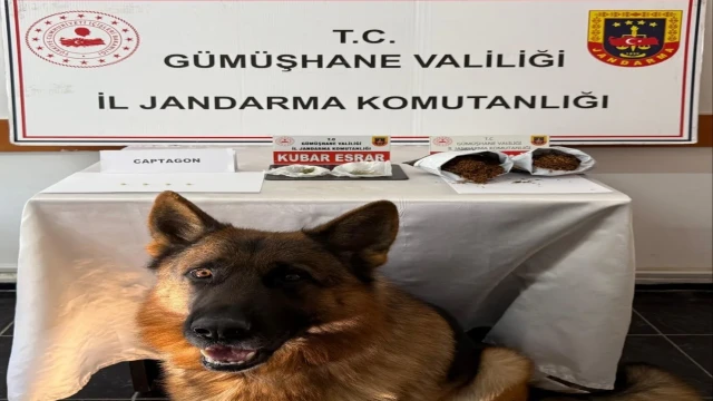 Gümüşhane'de zehir tacirlerine suçüstü