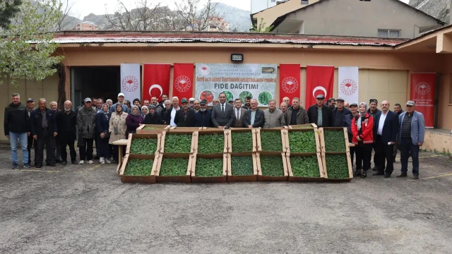 Gümüşhaneli çiftçiye yüzde 50 hibeli 200 bin fide