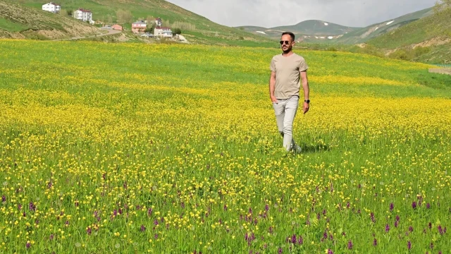 Gümüşhane'nin Sarı Denizi Yeniden Açtı: Sarıçiçek Vadisi Görsel Şölene Sahne Oluyor