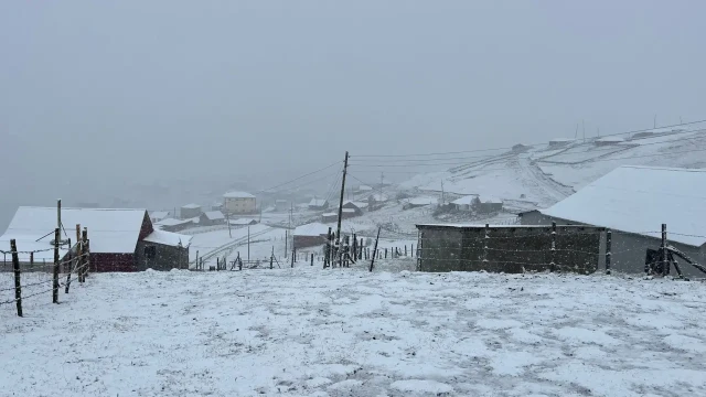 Gümüşhane’nin yüksek kesimleri kara teslim oldu