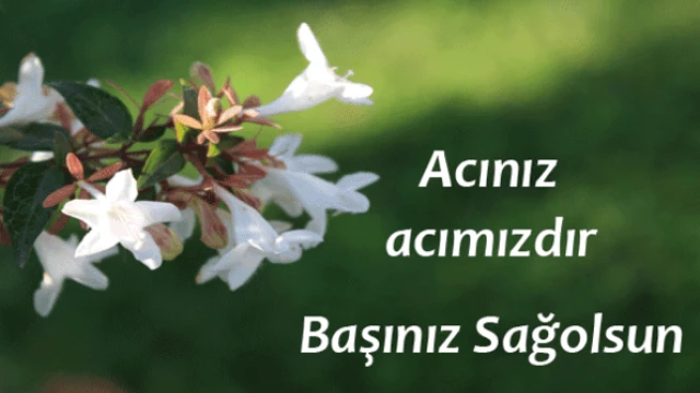 Haydar ÖZHAN hakkın rahmetine kavuşmuştur.