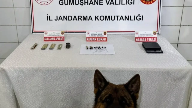 İl Jandarma Komutanlığı’ndan Kelkit’te uyuşturucu operasyonu