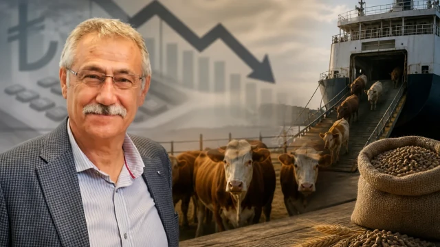 İYİ Parti Başdanışmanı Zafer Ulutaş: “Bereket Projesi Hayvancılık Krizine Çözüm Değil”