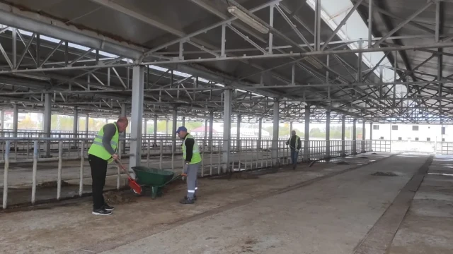 Kelkit Hayvan Pazarı 1 Kasım’da Yeniden Açılıyor