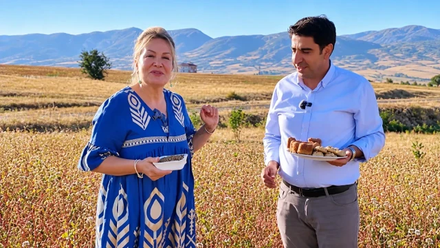Kelkit’te Karabuğdaya Sahrap Soysal Desteği