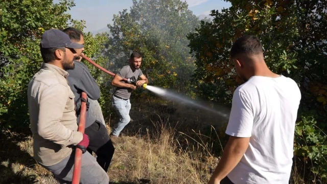 Kelkit'te yangın: 30 hektarlık alan küle döndü