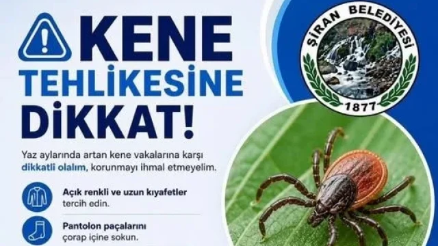 Kene Tehlikesine Karşı Uyarılar Artıyor: Şiran’dan Dikkat Çağrısı