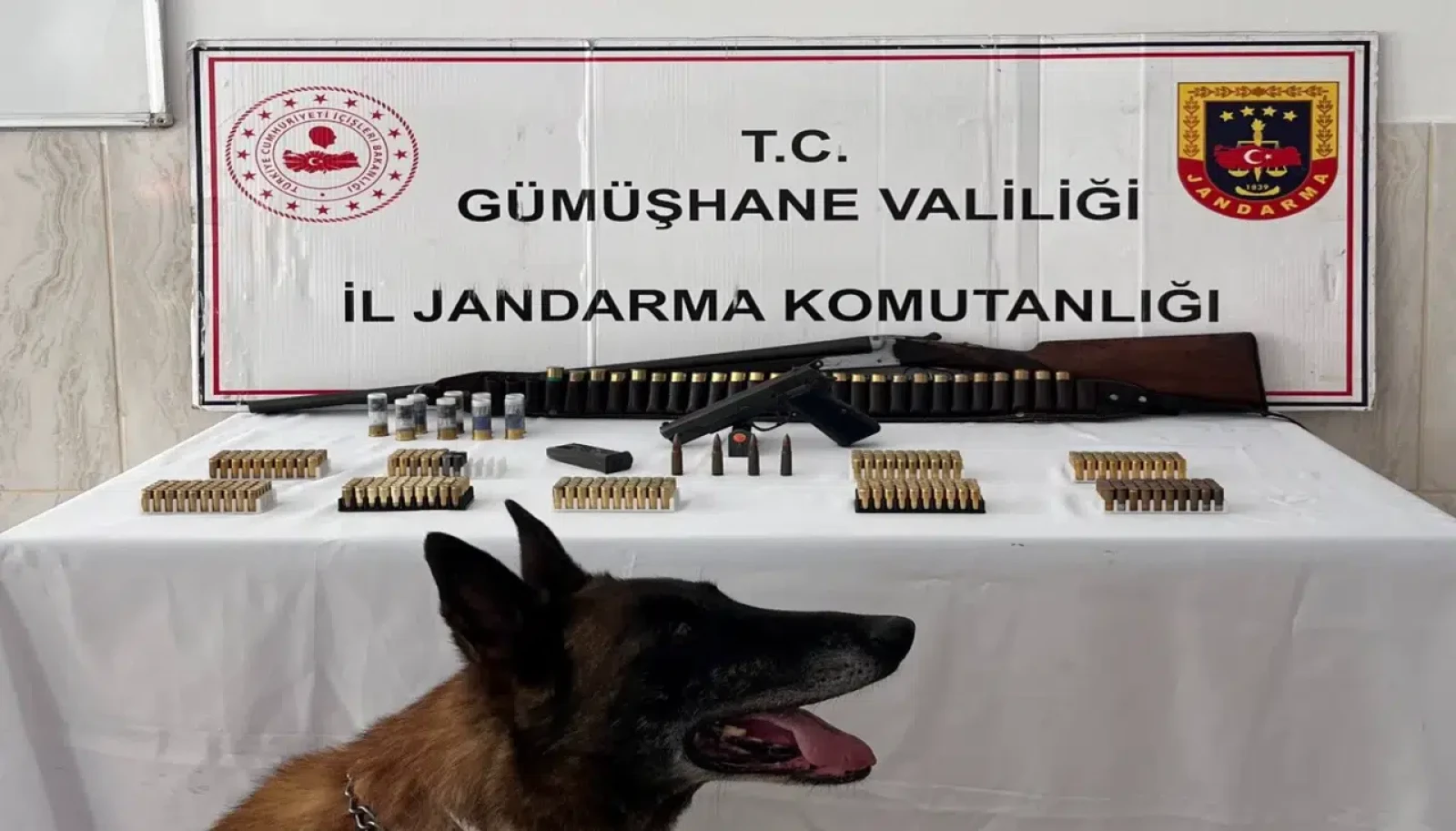 Kürtün’de Ruhsatsız Silah Ve Çok Sayıda Mühimmat Ele Geçirildi