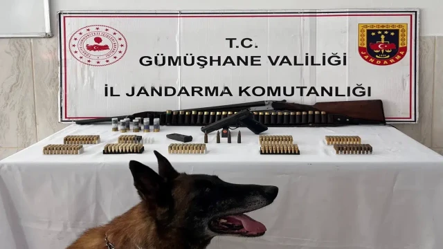Kürtün’de Ruhsatsız Silah Ve Çok Sayıda Mühimmat Ele Geçirildi