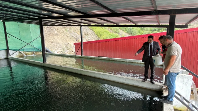 Kürtün’de Su Ürünleri Tesislerine Yakın Takip