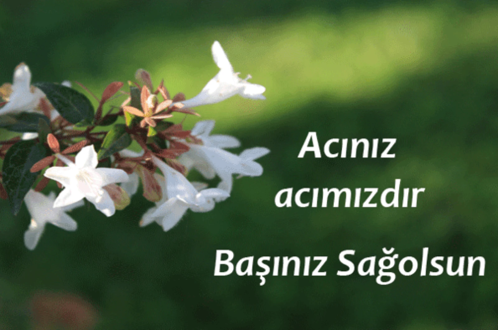 Mustafa DALMA hakkın rahmetine kavuşmuştur.