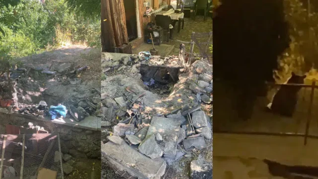 Özcan Mahallesi sakinleri ayı korkusuyla yaşıyor