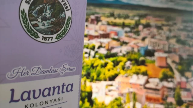Şiran’da Lavanta Hamlesi: “Her Damlası Şiran” Projesiyle Üretim Ekonomiye Kazandırılacak