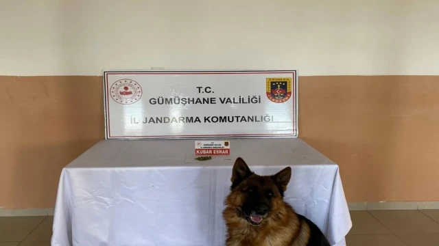 Şiran'da uyuşturucu operasyonu