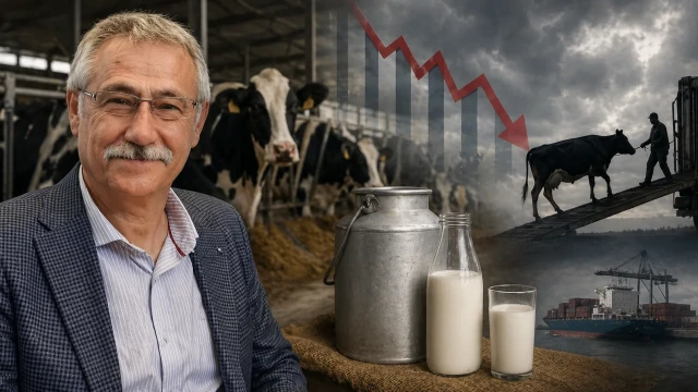 Süt Krizi Büyüyor: Prof. Dr. Zafer Ulutaş’tan Çarpıcı Uyarılar