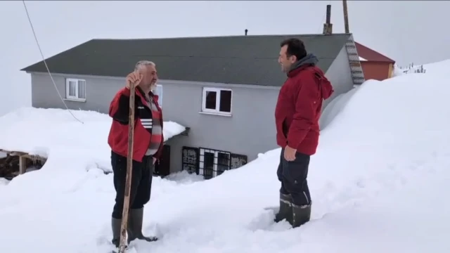 Torul'da kar altında ayı nöbeti