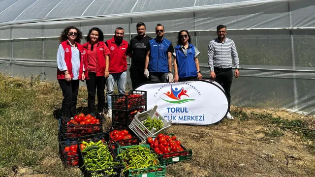 Torul’da seralarda Gönüllü Hasat yapıldı