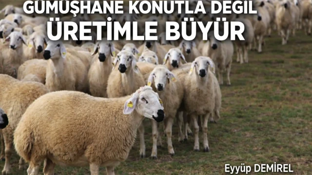 TÜHAK Genel Başkanı Demirel: “Gümüşhane Konutla Değil Üretimle Büyür”