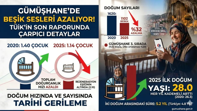TÜİK’in Son Raporunda Çarpıcı Gümüşhane Detayları