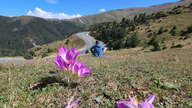 Yaylalarda kışın habercisi 'vargit'ler kendini gösterdi