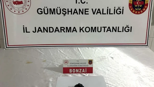 Zehir tacirlerine Jandarma operasyonu