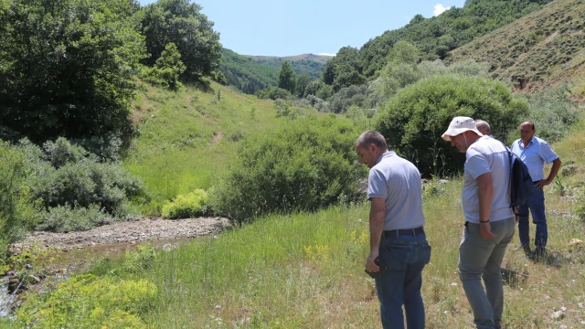 Aydoğdu Köyü Kelebek Faunasının Ön Raporu Tamamlandı — Fotoğraf 6