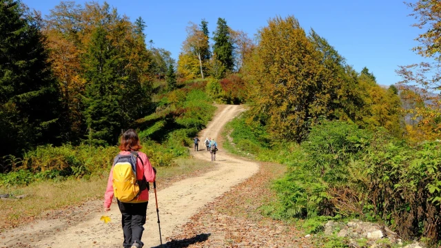 GÜDAK’tan Kürtün'de Karadeniz Manzaralı Sonbahar Yürüyüşü — Fotoğraf 2