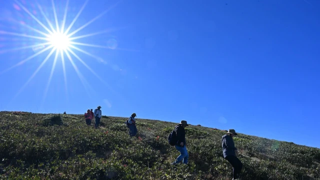 GÜDAK’tan Kürtün'de Karadeniz Manzaralı Sonbahar Yürüyüşü — Fotoğraf 5