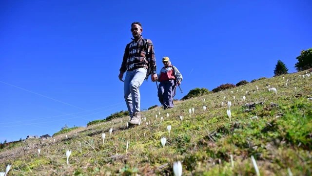 GÜDAK’tan Kürtün'de Karadeniz Manzaralı Sonbahar Yürüyüşü — Fotoğraf 6