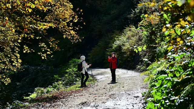 GÜDAK’tan Kürtün'de Karadeniz Manzaralı Sonbahar Yürüyüşü — Fotoğraf 8