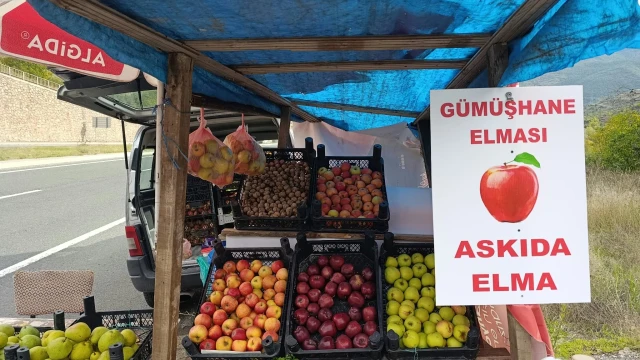 Gümüşhane’de Askıda Elma Kampanyası Yeniden Başladı — Fotoğraf 8