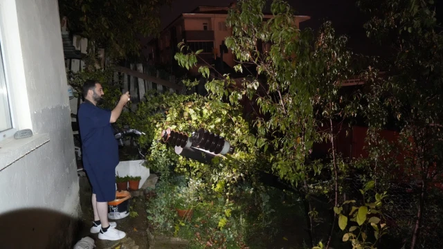 Gümüşhane'de aynı elektrik direği yaşlı kadının bahçesine ikinci kez devrildi! — Fotoğraf 7