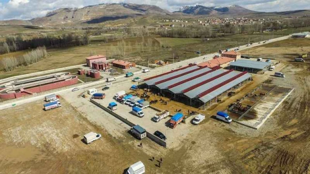 Kelkit Hayvan Pazarı İkinci Bir Duyuruya Kadar Kapatıldı