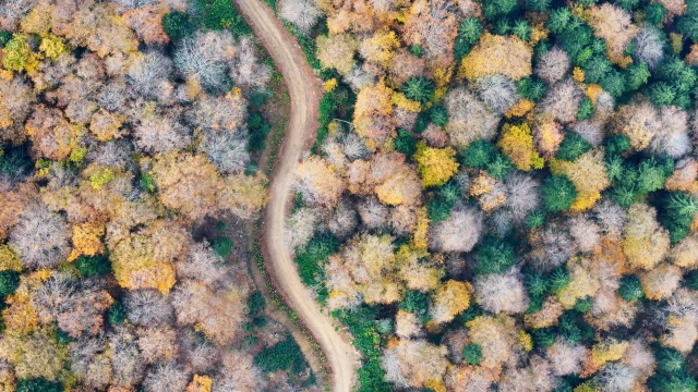 Sonbaharın renkleri rotayı değiştirdi: 2 bin metreye çıktılar — Fotoğraf 1