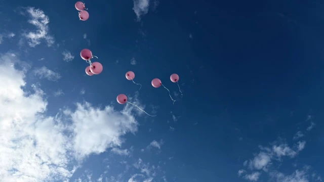 Torul’da Meme Kanseri Farkındalığı İçin Pembe Balonlar Gökyüzüne Bırakıldı — Fotoğraf 2