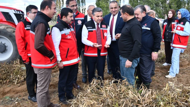 Vali Cevdet Atay Kelkit'te Şeker Fasulyesi ve Şeker Pancarı Hasadına Katıldı — Fotoğraf 1