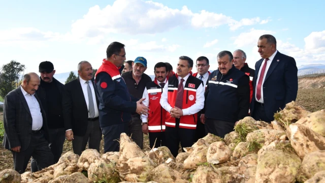 Vali Cevdet Atay Kelkit'te Şeker Fasulyesi ve Şeker Pancarı Hasadına Katıldı — Fotoğraf 2