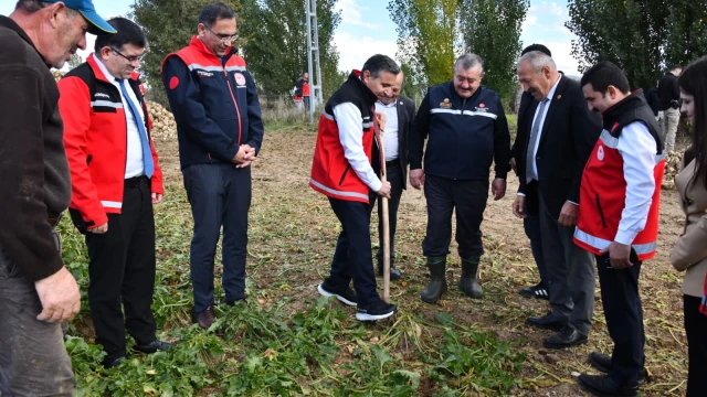 Vali Cevdet Atay Kelkit'te Şeker Fasulyesi ve Şeker Pancarı Hasadına Katıldı — Fotoğraf 8