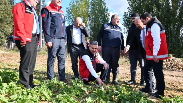 Vali Cevdet Atay Kelkit'te Şeker Fasulyesi ve Şeker Pancarı Hasadına Katıldı — Fotoğraf 11